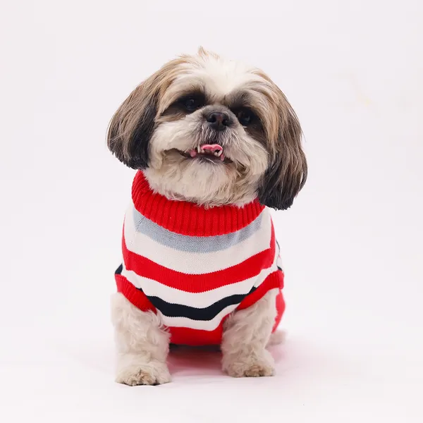 Elegant_Red_Stripes_Cozy_Stylish_Dog_Sweater