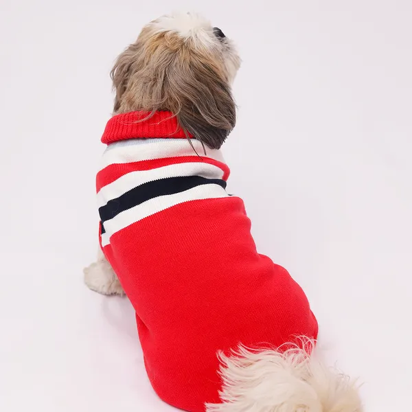 Elegant_Red_Stripes_Cozy_Stylish_Dog_Sweater
