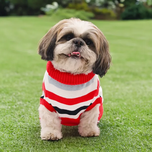 Elegant_Red_Stripes_Cozy_Stylish_Dog_Sweater