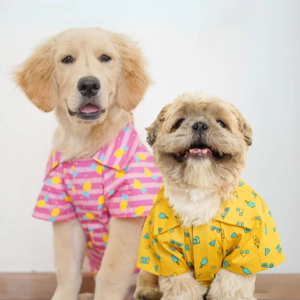 Pink_&_Green_Dress_Me_Up_Combo