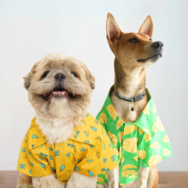 Yellow_&_Green_Dress_Me_Up_Combo