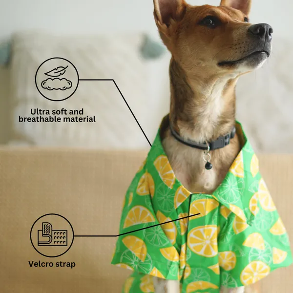 Green_Cool_Beach_Print_Summer_Pet_Shirt