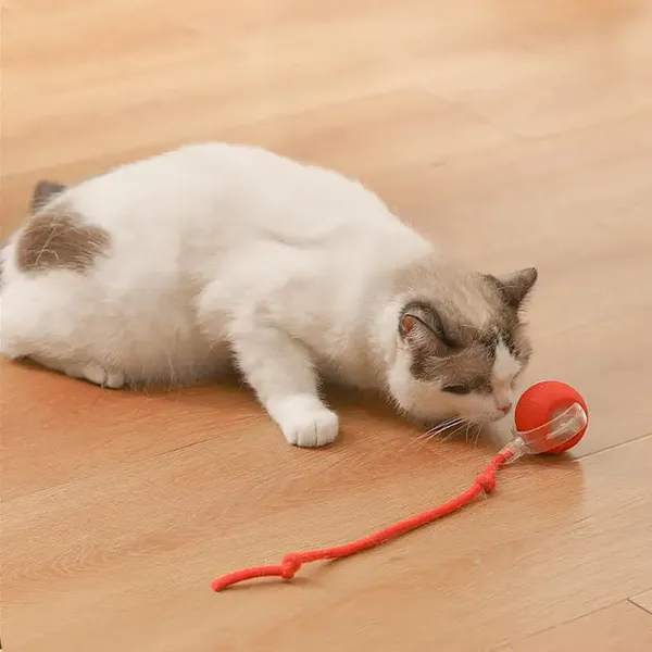 Multicolor_Interactive_Cat_Ball_Toy_2024_New_Automatic_Moving_Dog_Cat_Balls