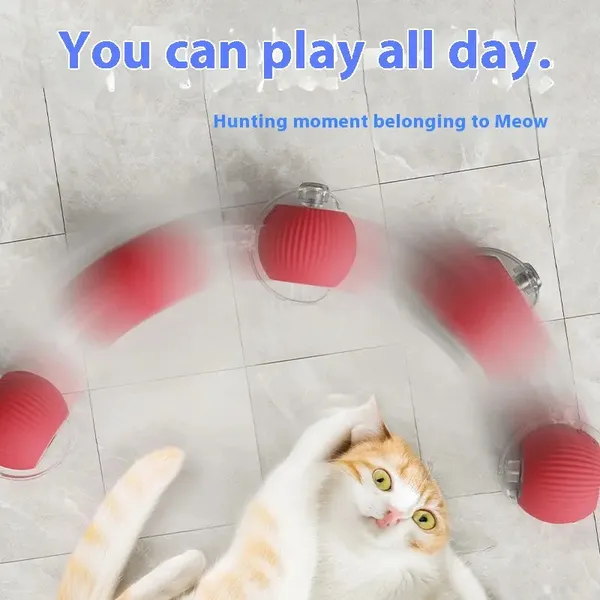 Multicolor_Interactive_Cat_Ball_Toy_2024_New_Automatic_Moving_Dog_Cat_Balls