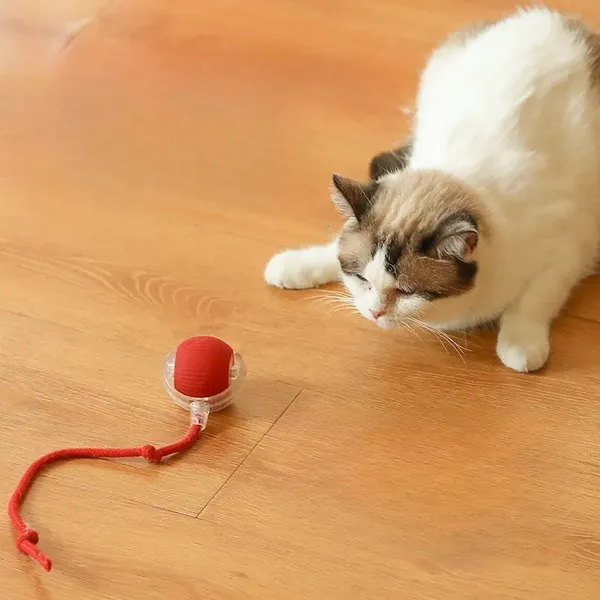 Multicolor_Interactive_Cat_Ball_Toy_2024_New_Automatic_Moving_Dog_Cat_Balls