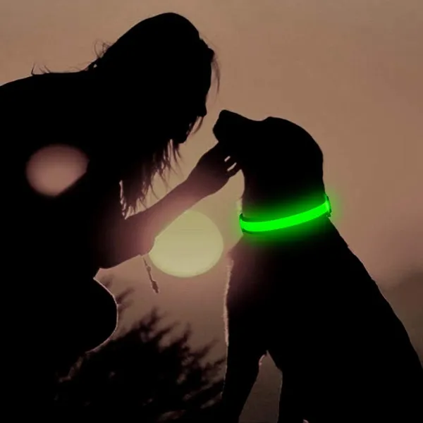 Multicolor_Illuminating_Led_Dog_Collar