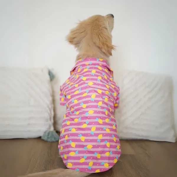 Yellow_Lemon_Print_Summer_Pet_Shirt