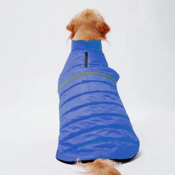 Neon_Blue_Jacket_For_Dogs