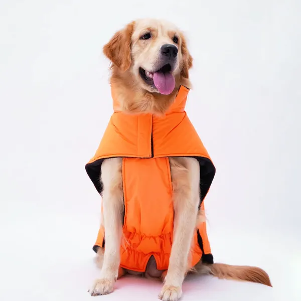 Neon_Blue_Jacket_For_Dogs