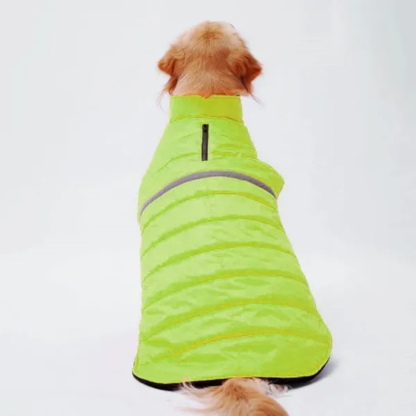 Neon_Green_Jacket_For_Dogs