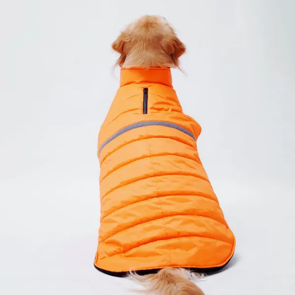Neon_Pink_Jacket_For_Dogs