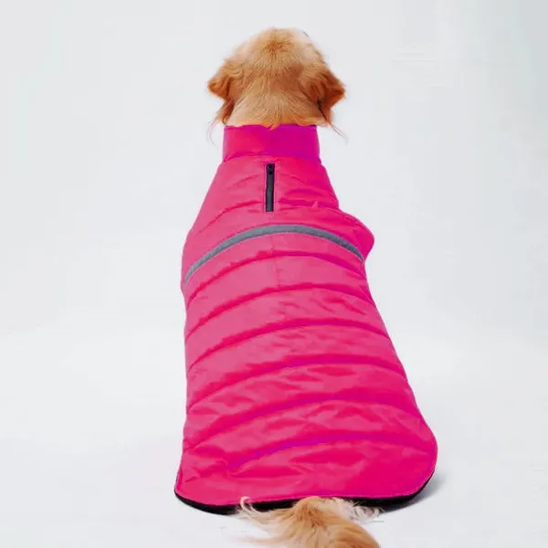Neon_Pink_Jacket_For_Dogs