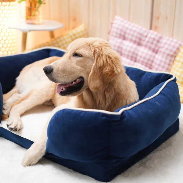 Blue_Ortho_Lounger_Bed