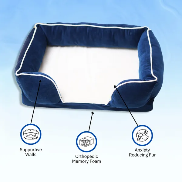 Blue_Ortho_Lounger_Bed