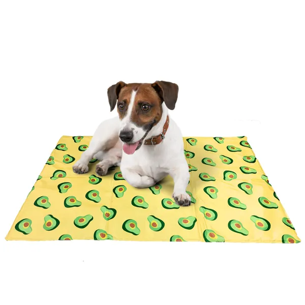 Green_&_Yellow_Pawfectly_Chill_Mat_Beat_The_Heat_In_Style