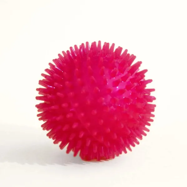 Multicolor_Spiked_Squeaky_Combo
