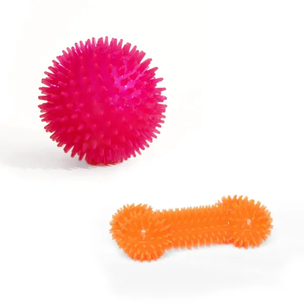 Multicolor_Spiked_Squeaky_Combo