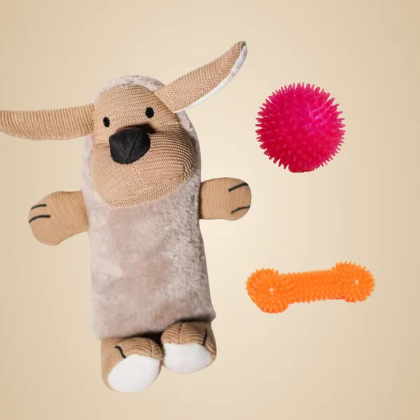 Multicolor_Spiked_Squeaky_Combo