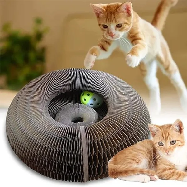 Multicolor_Transformable_Shapes_Cat_Scratching_Board