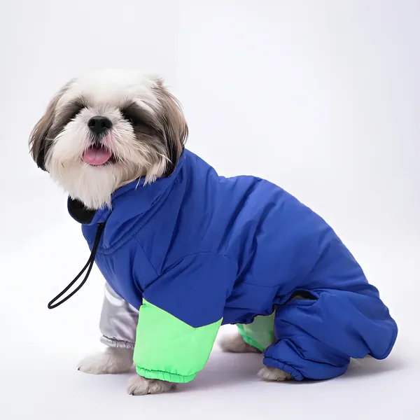 Blue_And_Green_Winter_Dog_Jacket_With_Metallic_Silver_Sleeves_Full_Coverage_And_Top_Zip