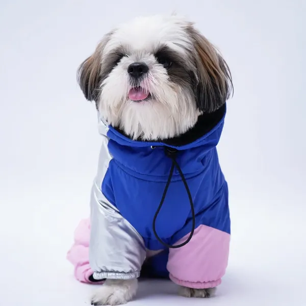 Blue_And_Pink_Winter_Dog_Jacket_With_Metallic_Silver_Sleeves_Full_Coverage_And_Top_Zip