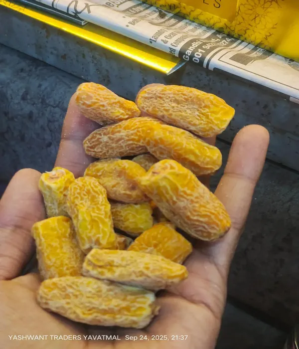 Ojiva_Premium_Yellow_Kharak_(Dry_Dates)_|_Natural_Energy_Booster_&_Healthy_Dry_Fruit_|_Natural_dry_dates_for_health