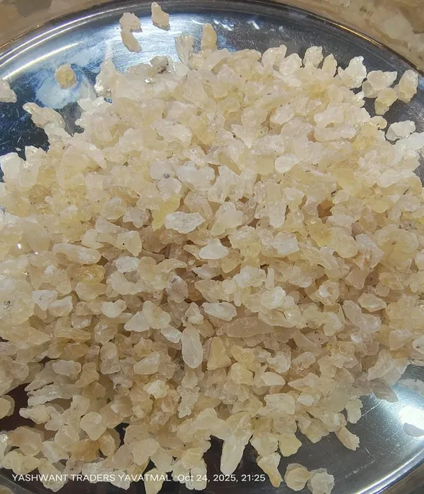 Gond_Katira_Pure_(Edible_Gum)_-_100_grams_|_Tragacanth_Gum_|_High_Cooling_Properties_Herbal_Food_|_Super_Food_|