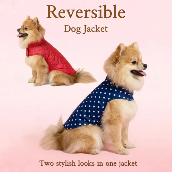 Blue_&_Red_Reversible_Dog_Jacket_For_Winter_–_Warm,_Windproof_&_Stylish_Pet_Coat