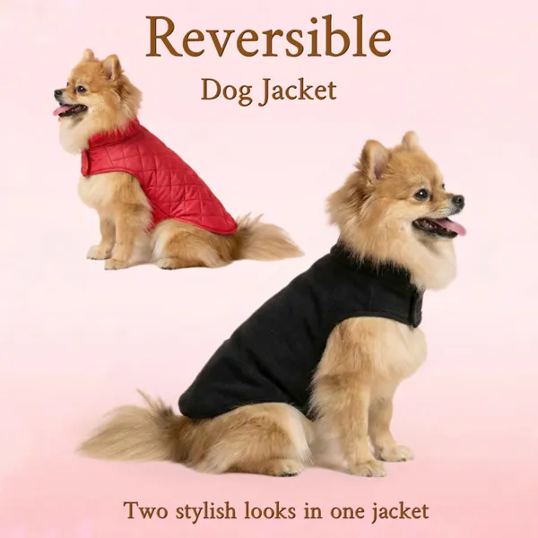 Black_&_Red_Reversible_Dog_Jacket_For_Winter_–_Warm,_Windproof_&_Stylish_Pet_Coat
