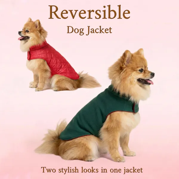 Green_&_Red_Reversible_Dog_Jacket_For_Winter_–_Warm,_Windproof_&_Stylish_Pet_Coat