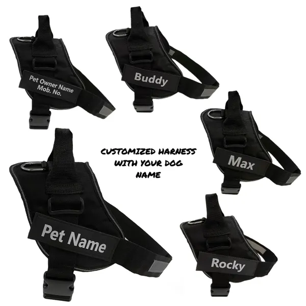 Black_Mesh_Customized_Dog_Vest_Harness