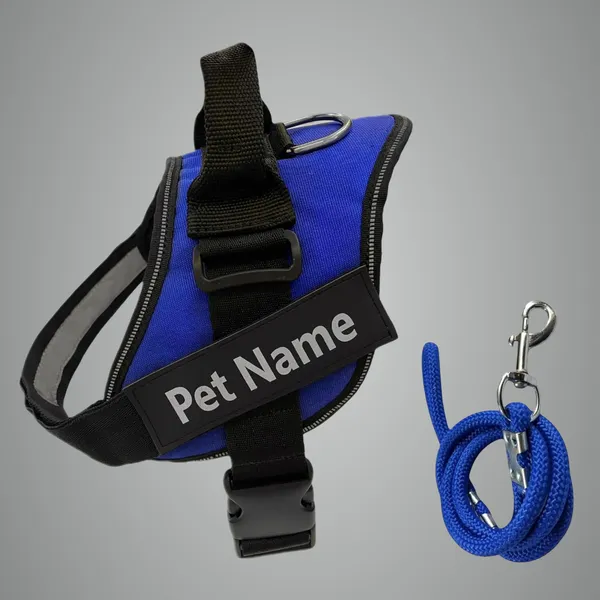 Royal_Blue_Mesh_Customized_Dog_Vest_Harness