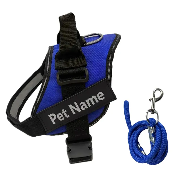 Royal_Blue_Mesh_Customized_Dog_Vest_Harness