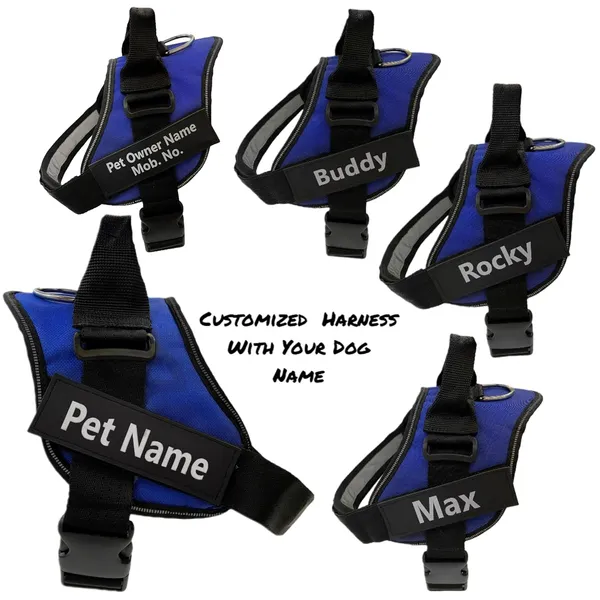 Royal_Blue_Mesh_Customized_Dog_Vest_Harness
