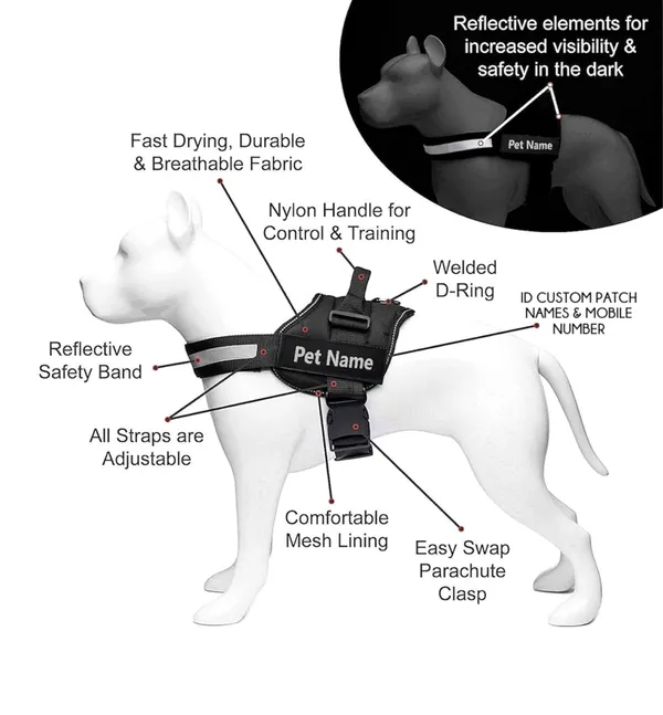 Royal_Blue_Mesh_Customized_Dog_Vest_Harness