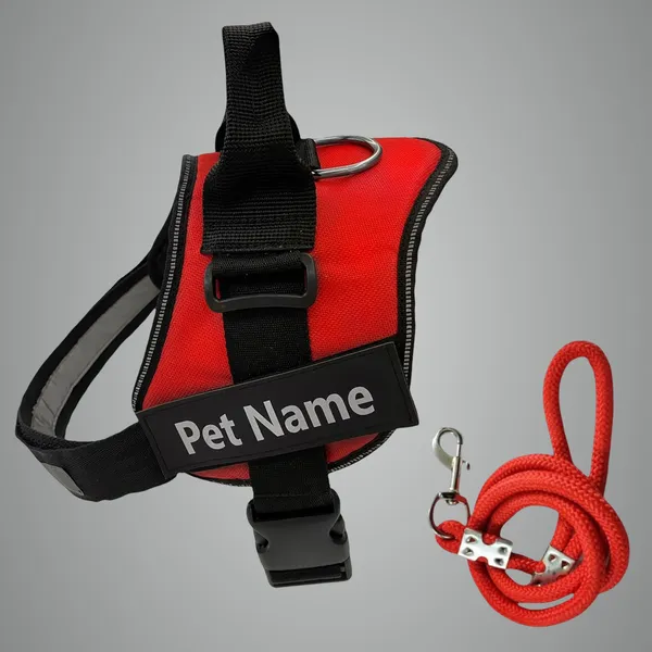 Red_Mesh_Customized_Dog_Vest_Harness