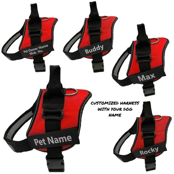 Red_Mesh_Customized_Dog_Vest_Harness