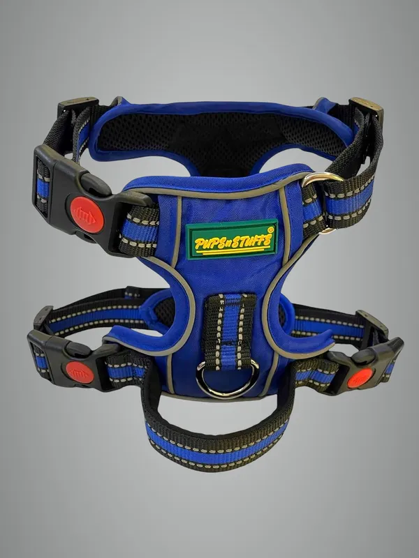 Blue_Nylon_Night_Reflective_Large_Dog_Harness_With_3_Buckles_For_Safe_&_Comfortable_Walks
