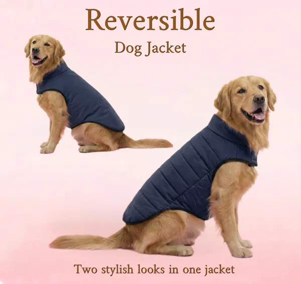 Blue_Polyester_Winter_Clothes_Reversible_Puffer_Dog_Jacket