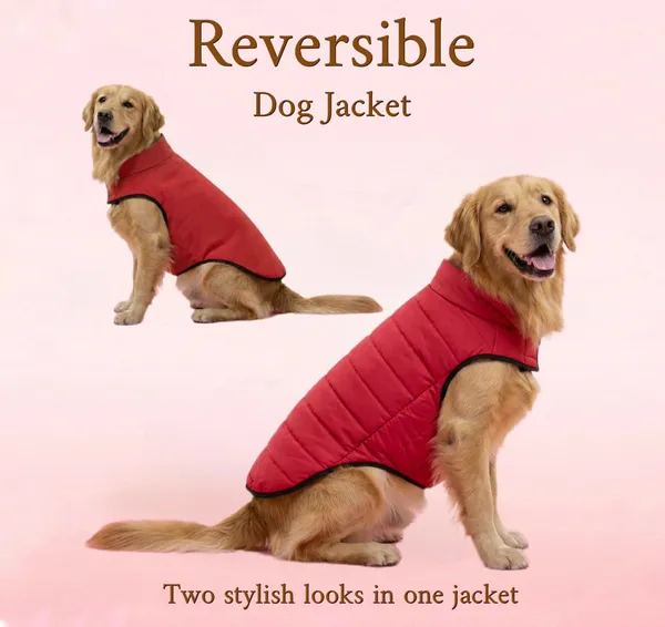 Red_Polyester_Winter_Clothes_Reversible_Puffer_Dog_Jacket