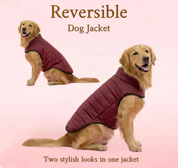 Maroon_Polyester_Winter_Clothes_Reversible_Puffer_Dog_Jacket