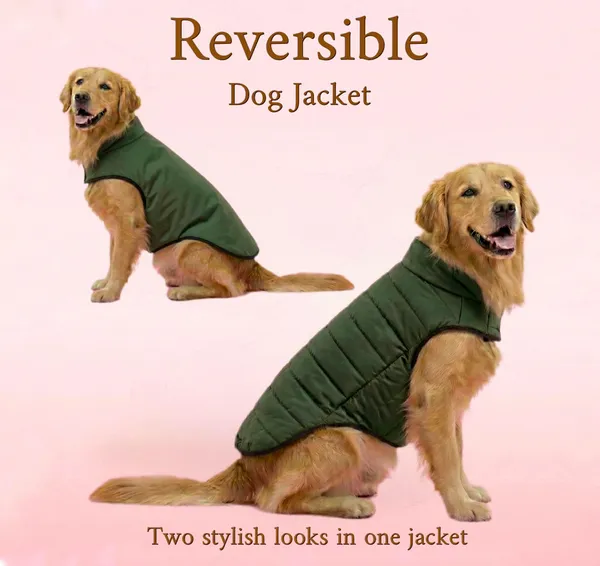 Green_Polyester_Winter_Clothes_Reversible_Puffer_Dog_Jacket