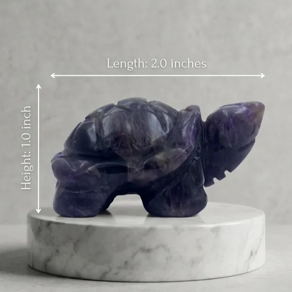 Amethyst_Mini_Turtle