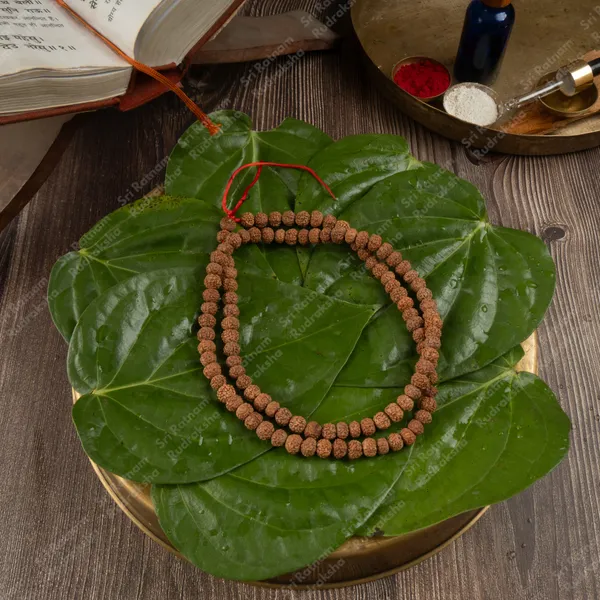 6_Mukhi_Mala
