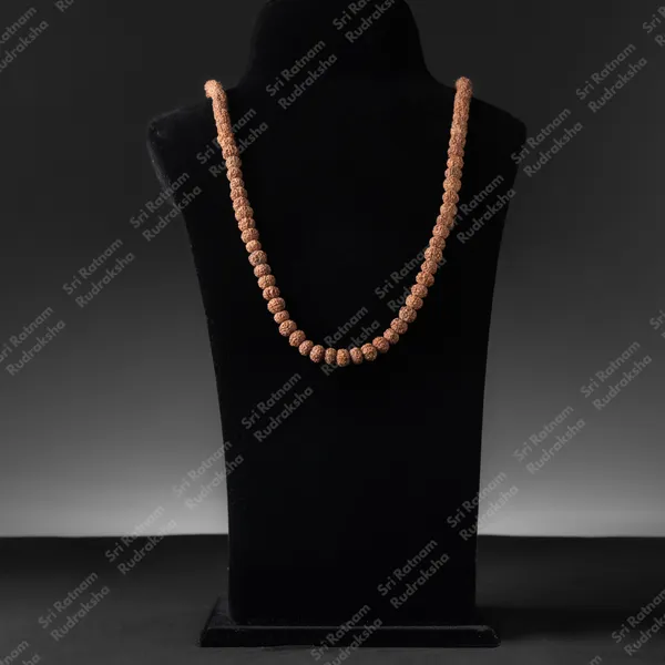 6_Mukhi_Mala