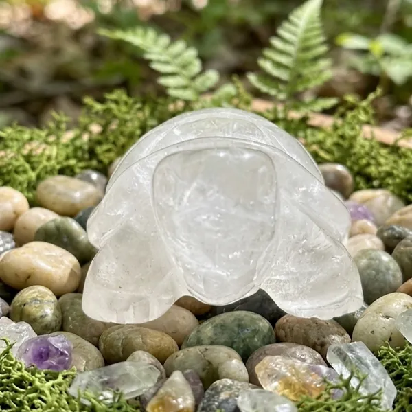 Clear_Quartz_Mini_Turtle