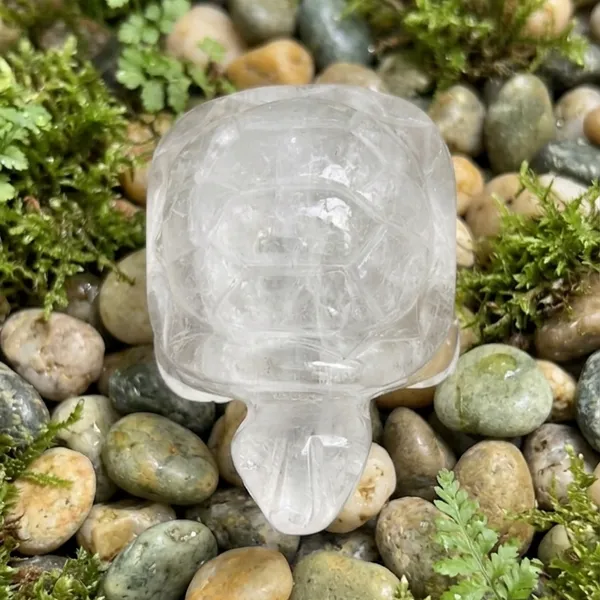 Clear_Quartz_Mini_Turtle