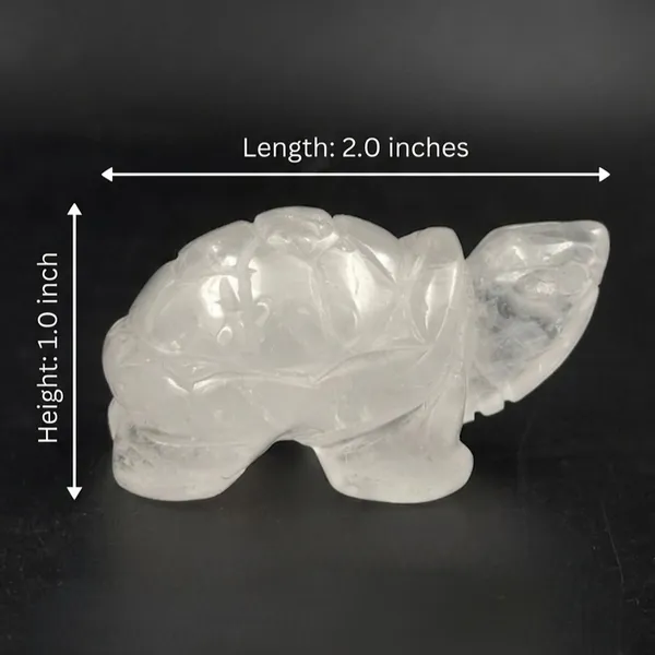 Clear_Quartz_Mini_Turtle