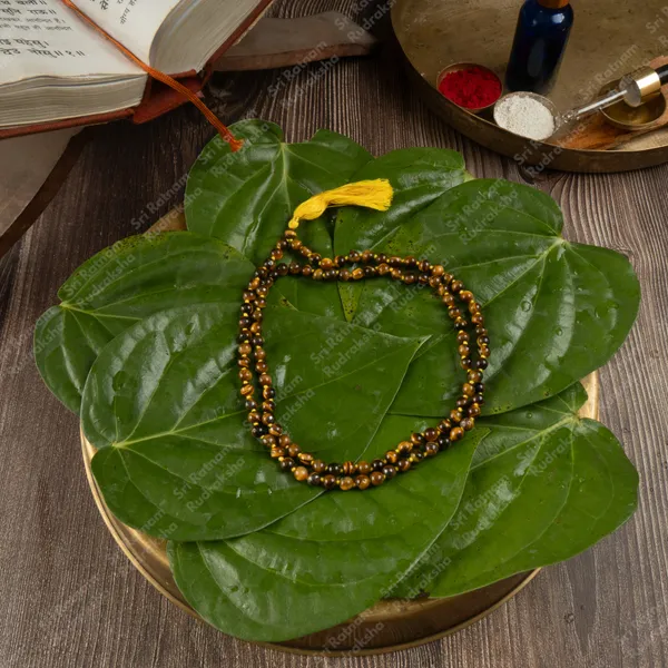 Tiger_Mala