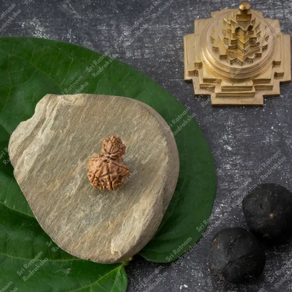 Garbh_Gauri